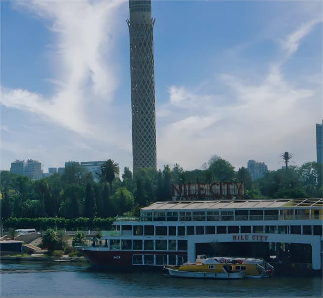 Company Establishment in Egypt