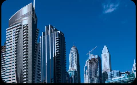 International cooperation with Zayed Al Shehhi Office