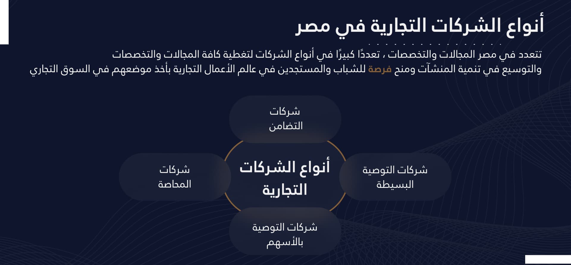 أنواع الشركات التجارية في مصر