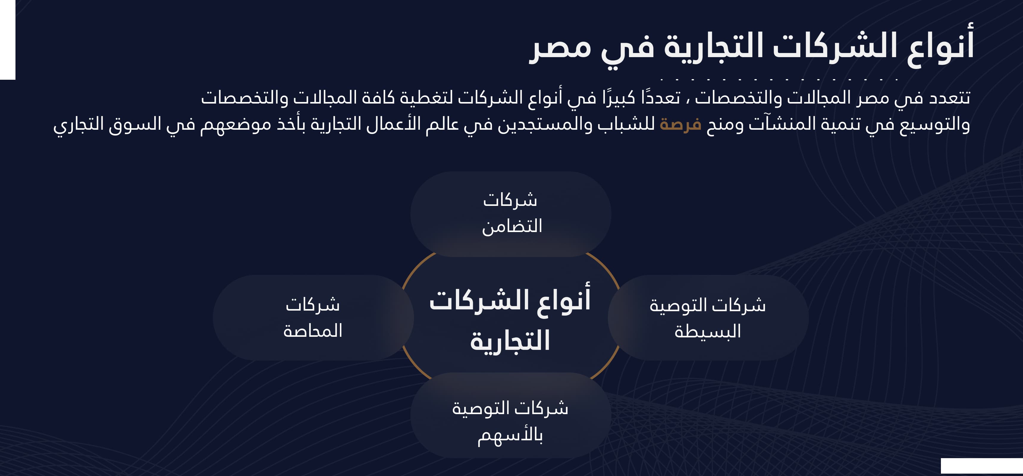 أنواع الشركات التجارية في مصر