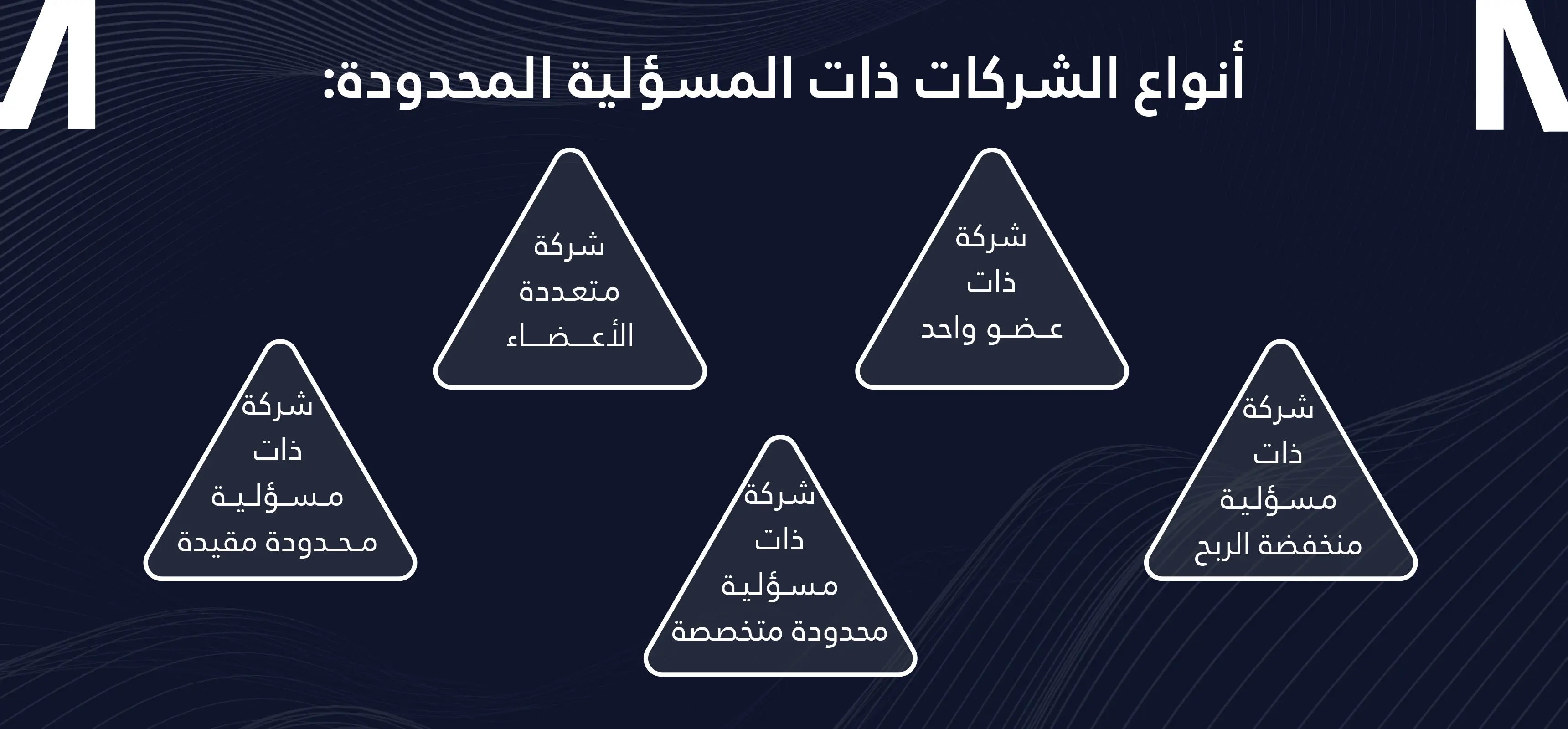 أنواع الشركات ذات المسؤولية المحدودة