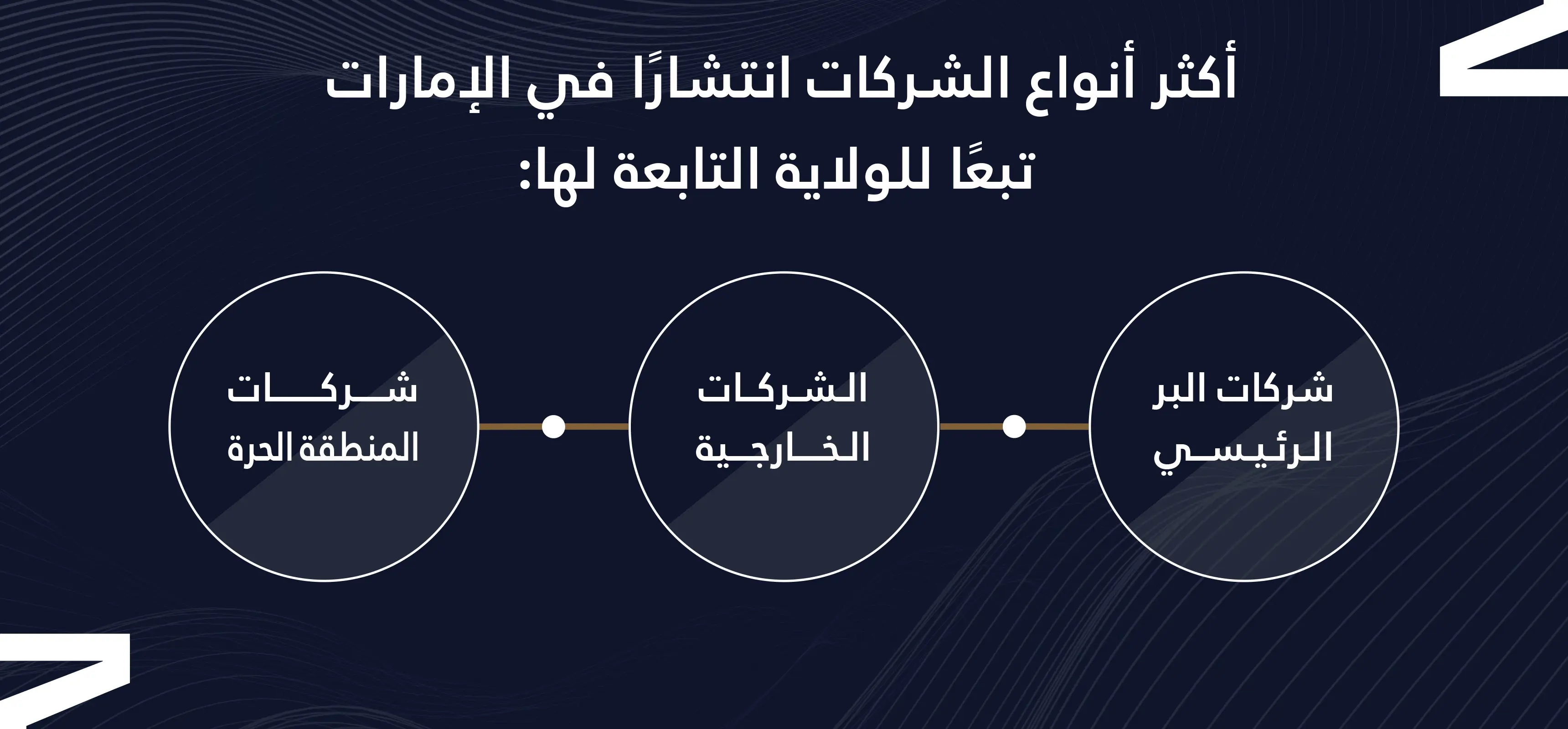 أنواع تأسيس الشركات في الإمارات