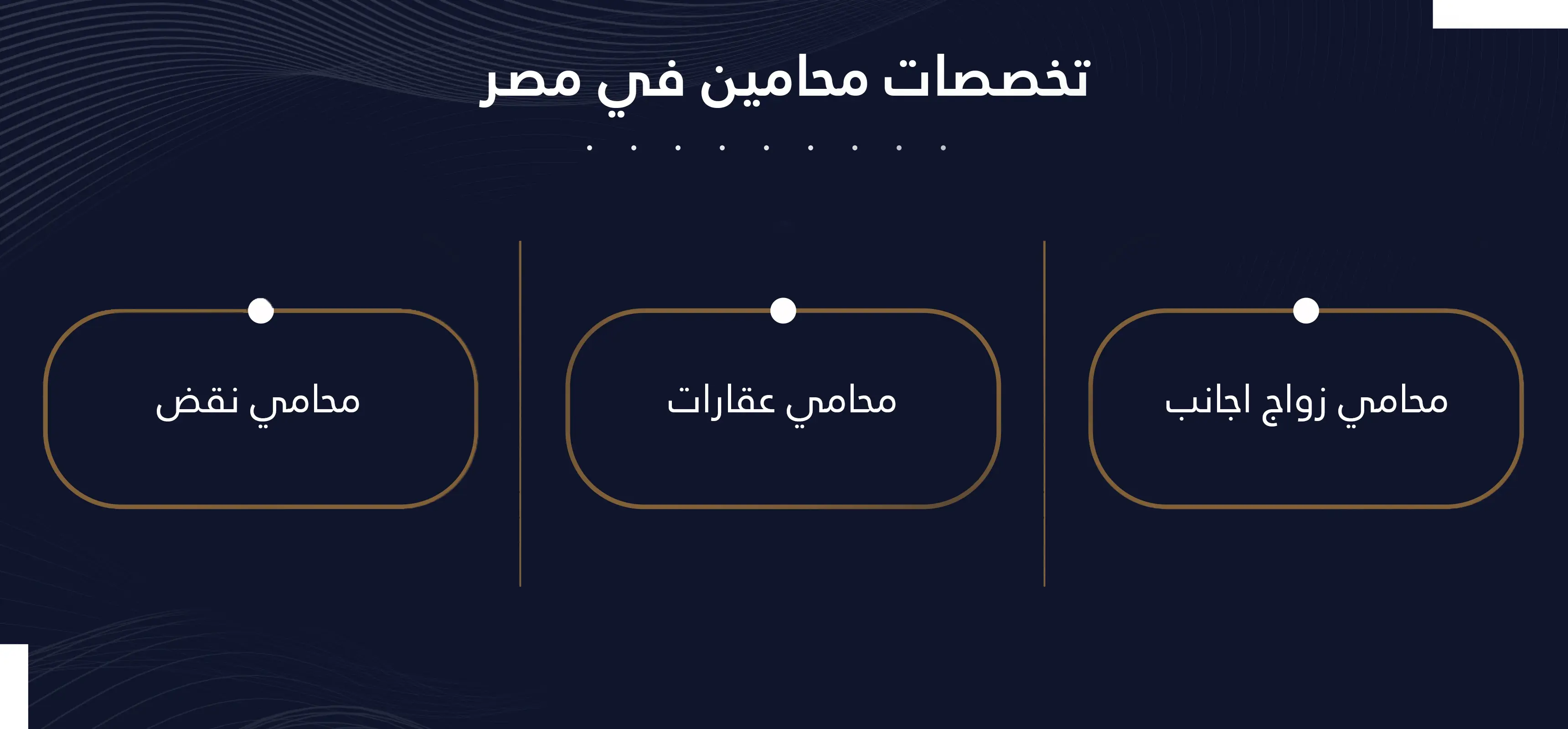أشهر المحامين في مصر