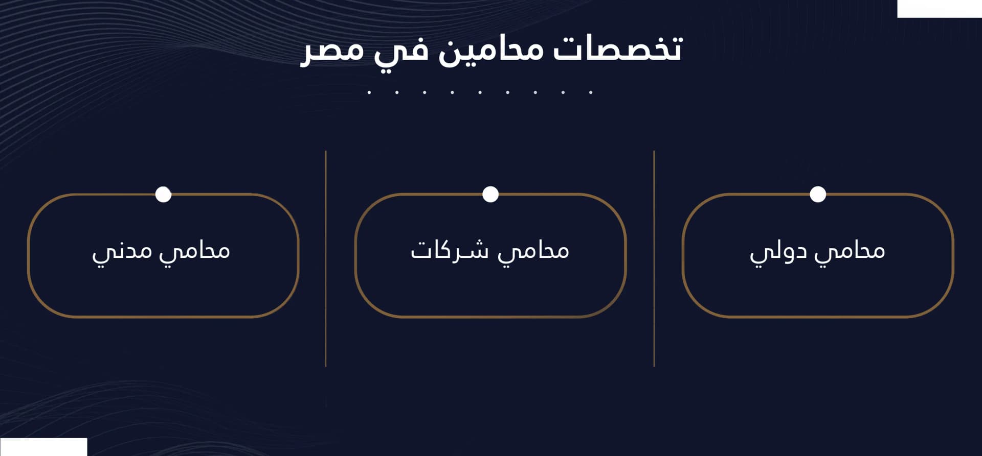 تخصصات محامين مصر