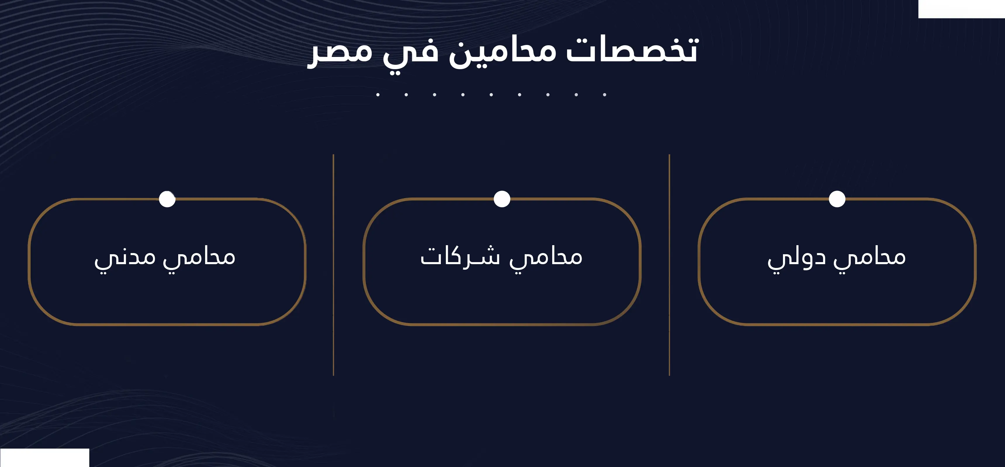 تخصصات محامين مصر