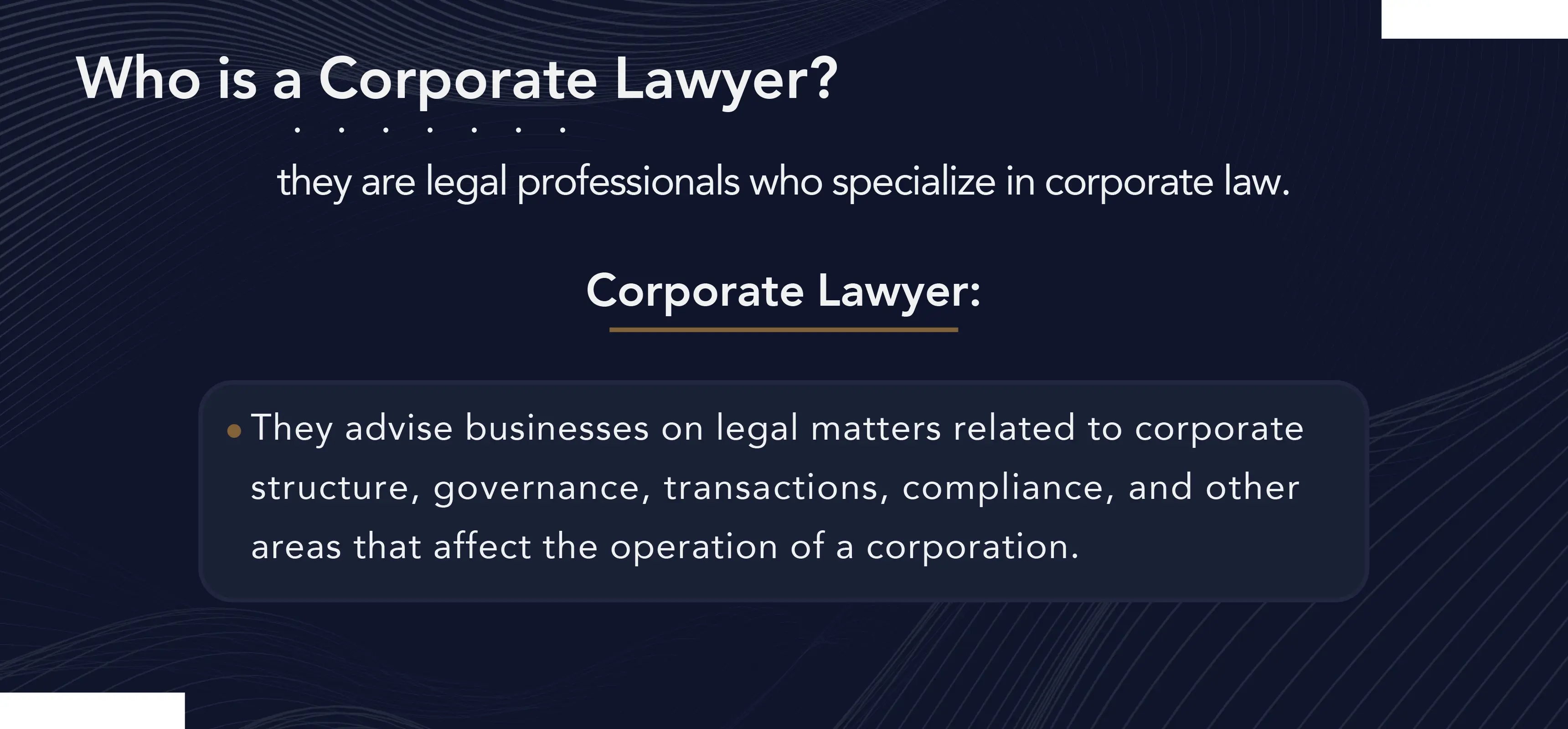 Corporate lawyer