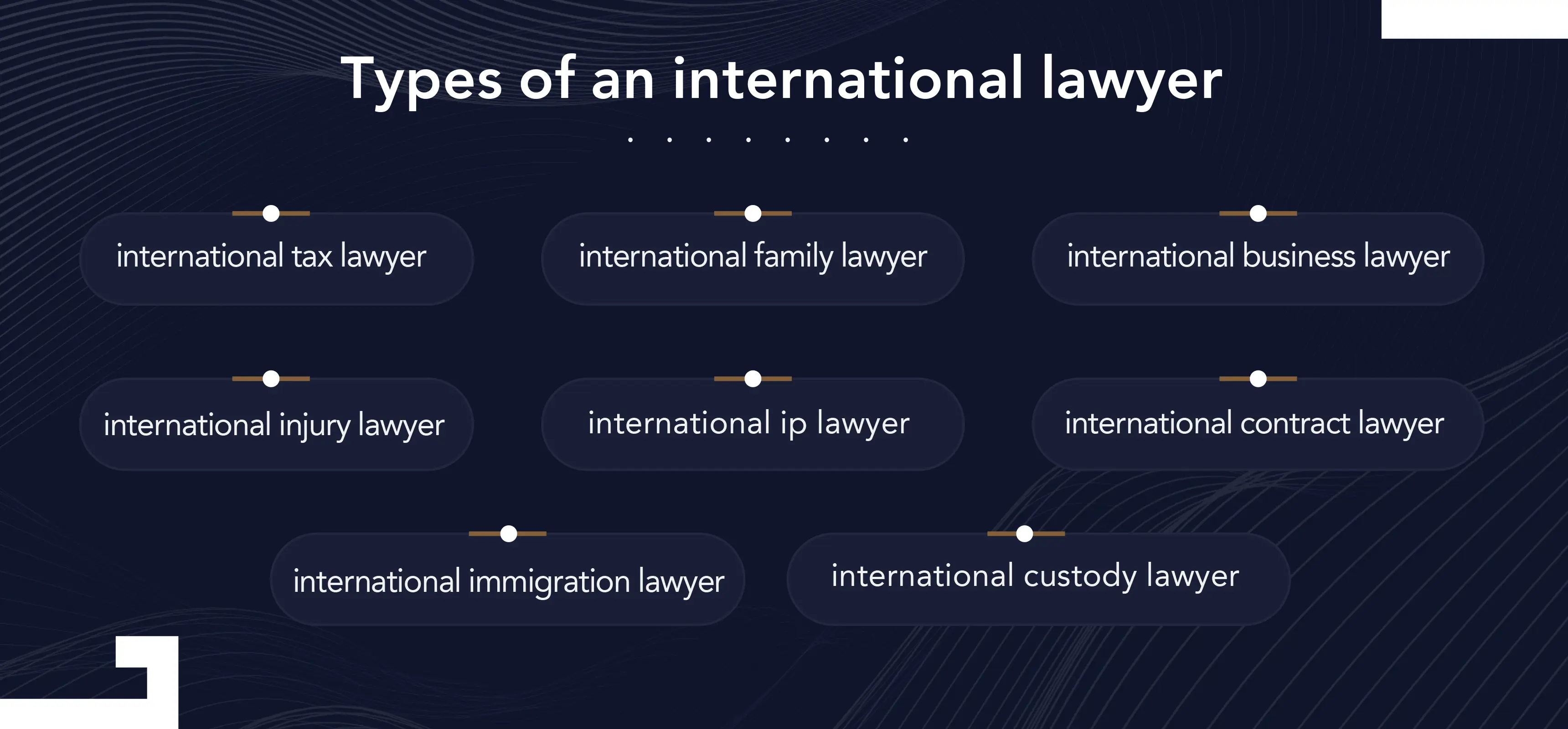 professional international lawyers