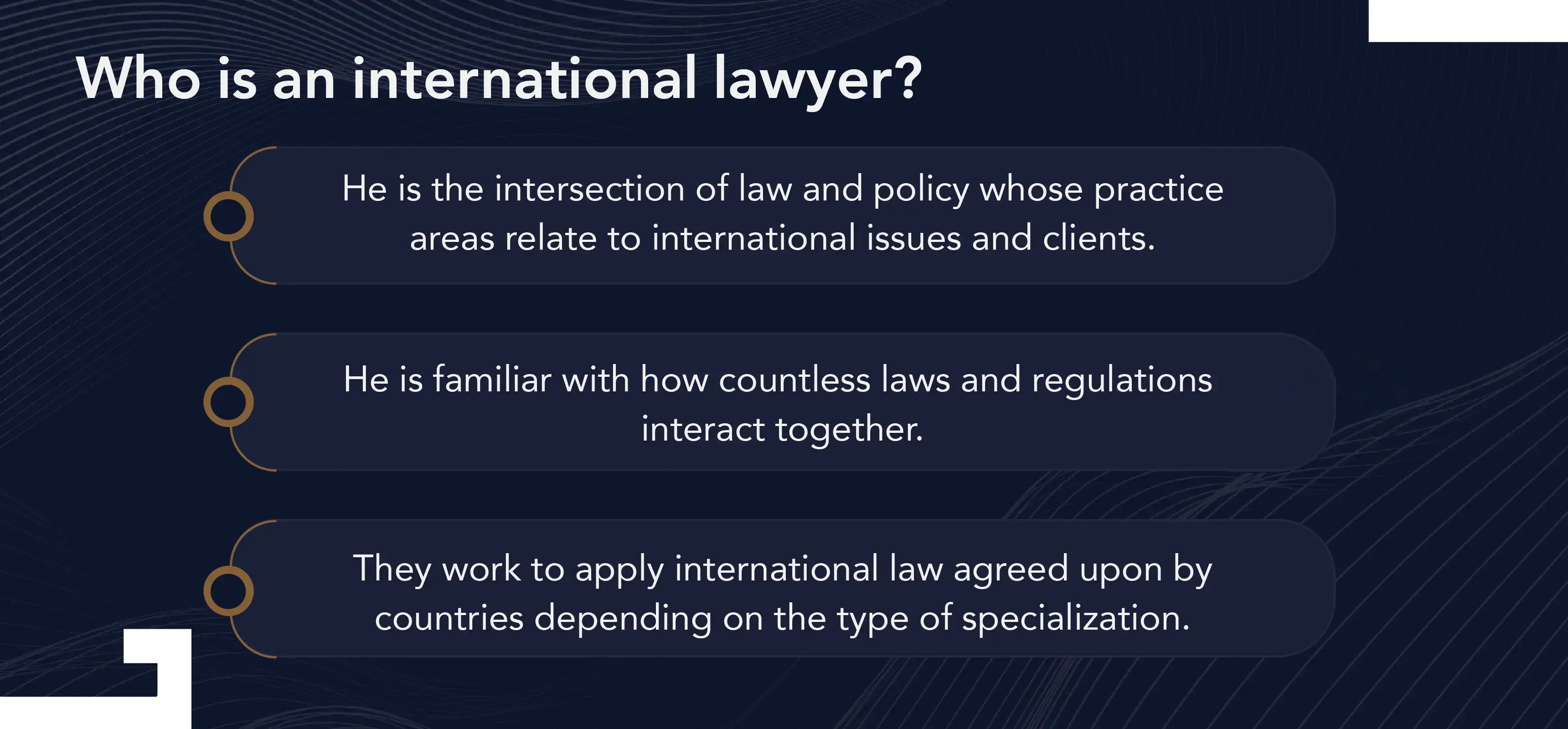 international lawyer