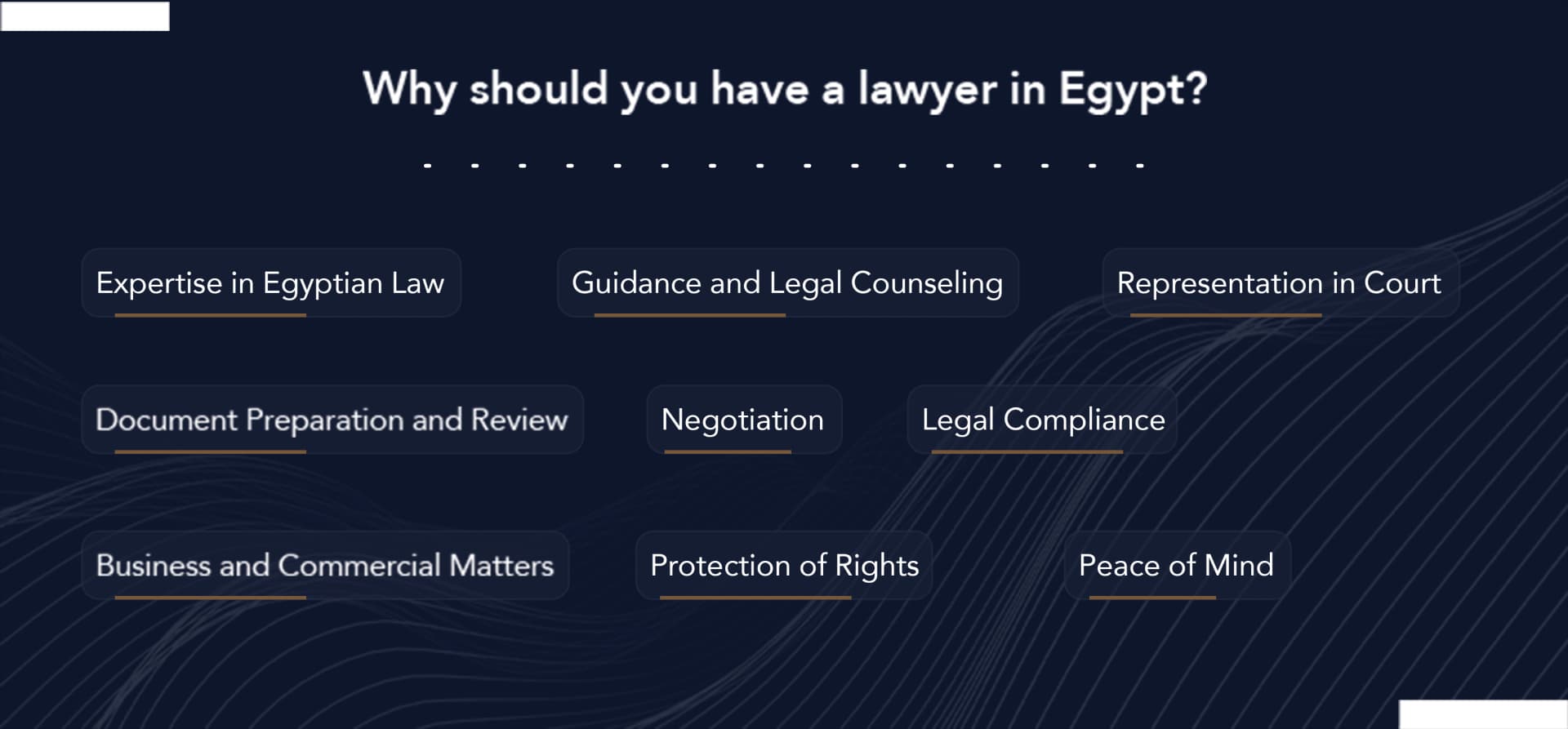 lawyer in Egypt
