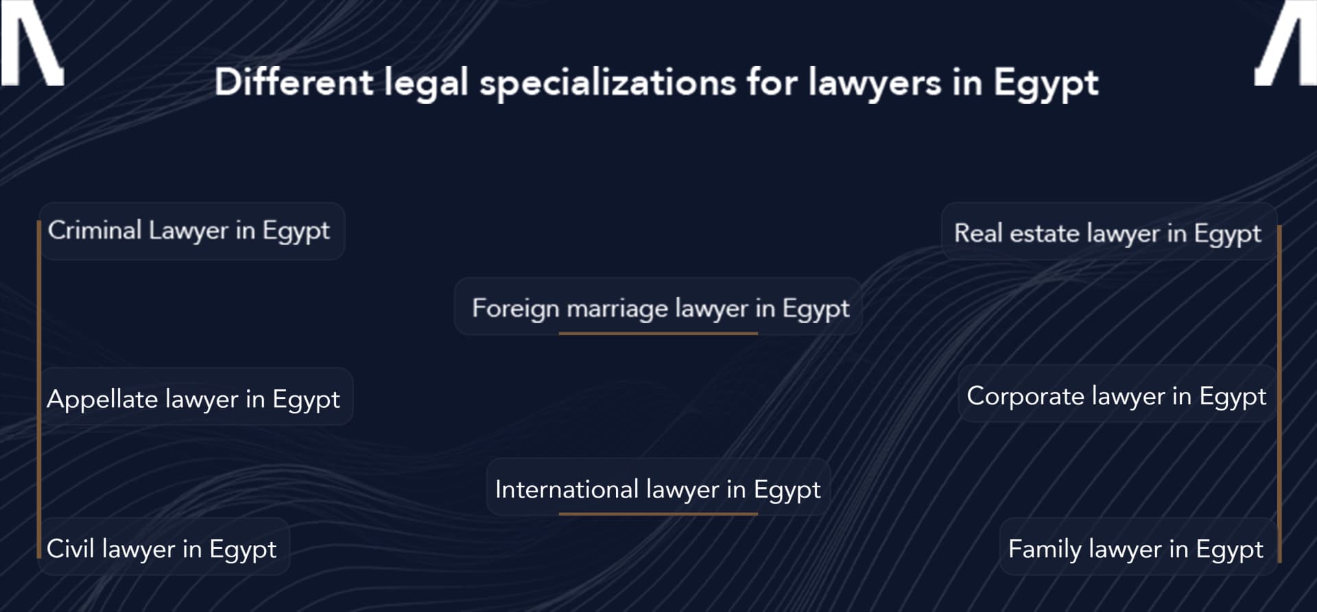 best lawyer in Egypt