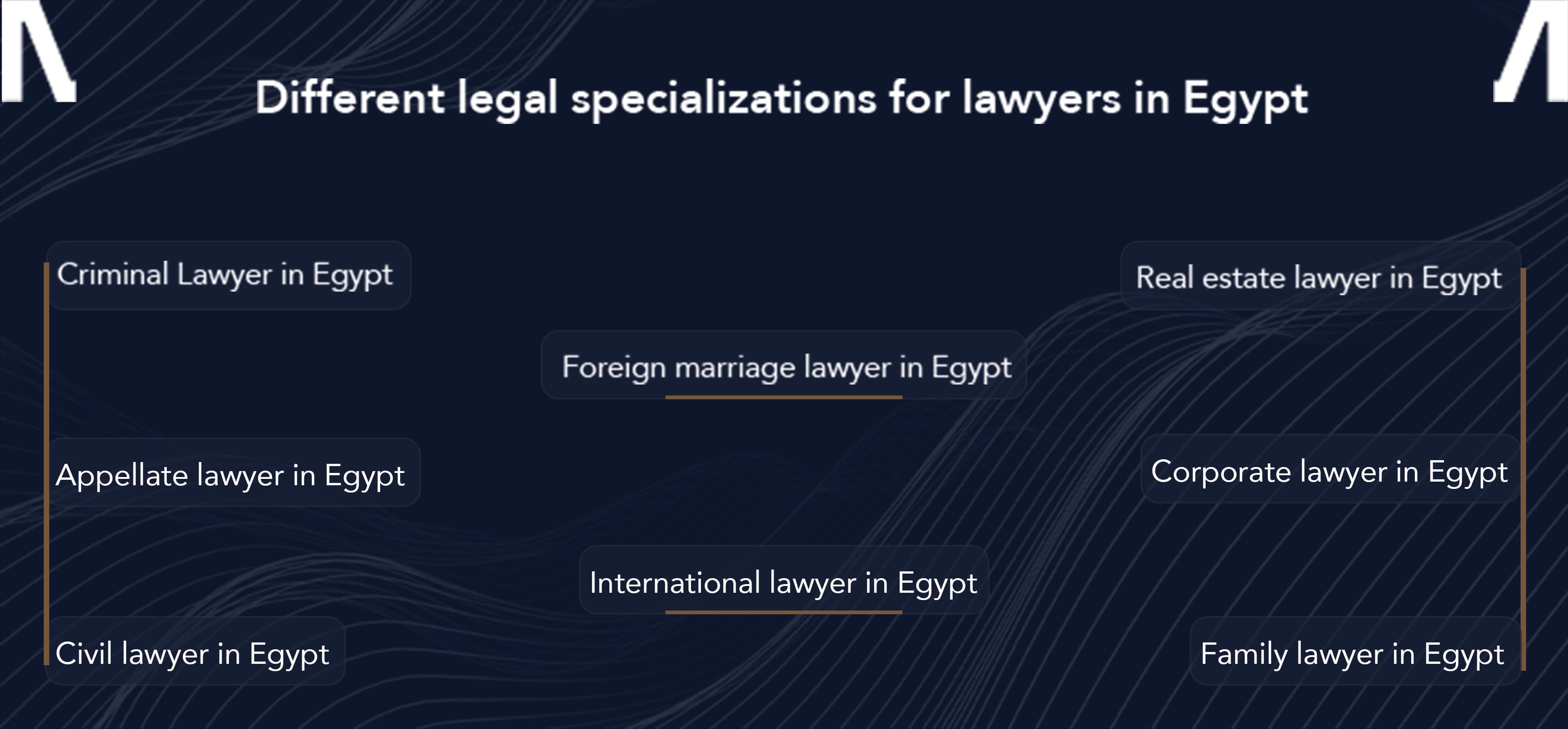 best lawyer in Egypt