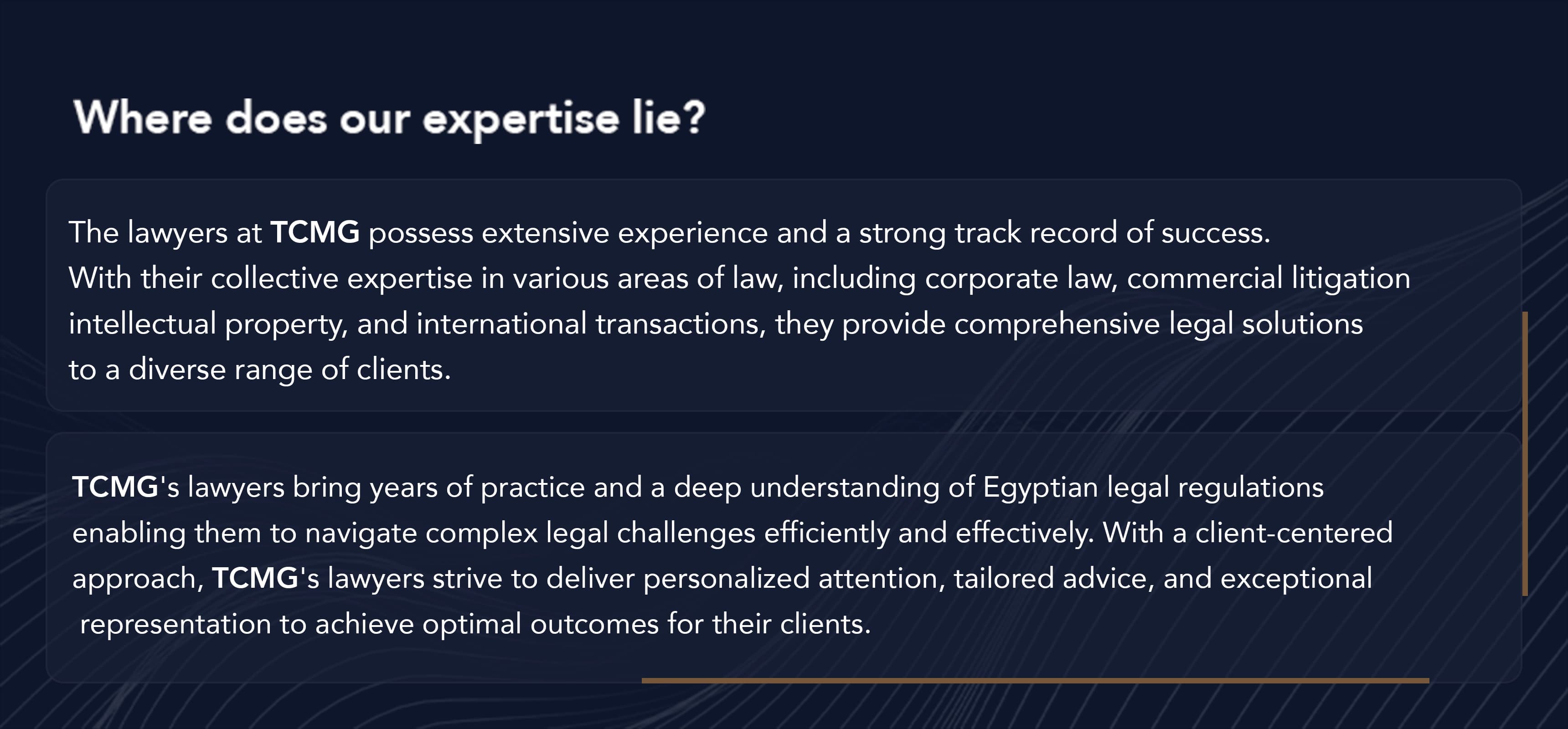 legal experts in Egypt
