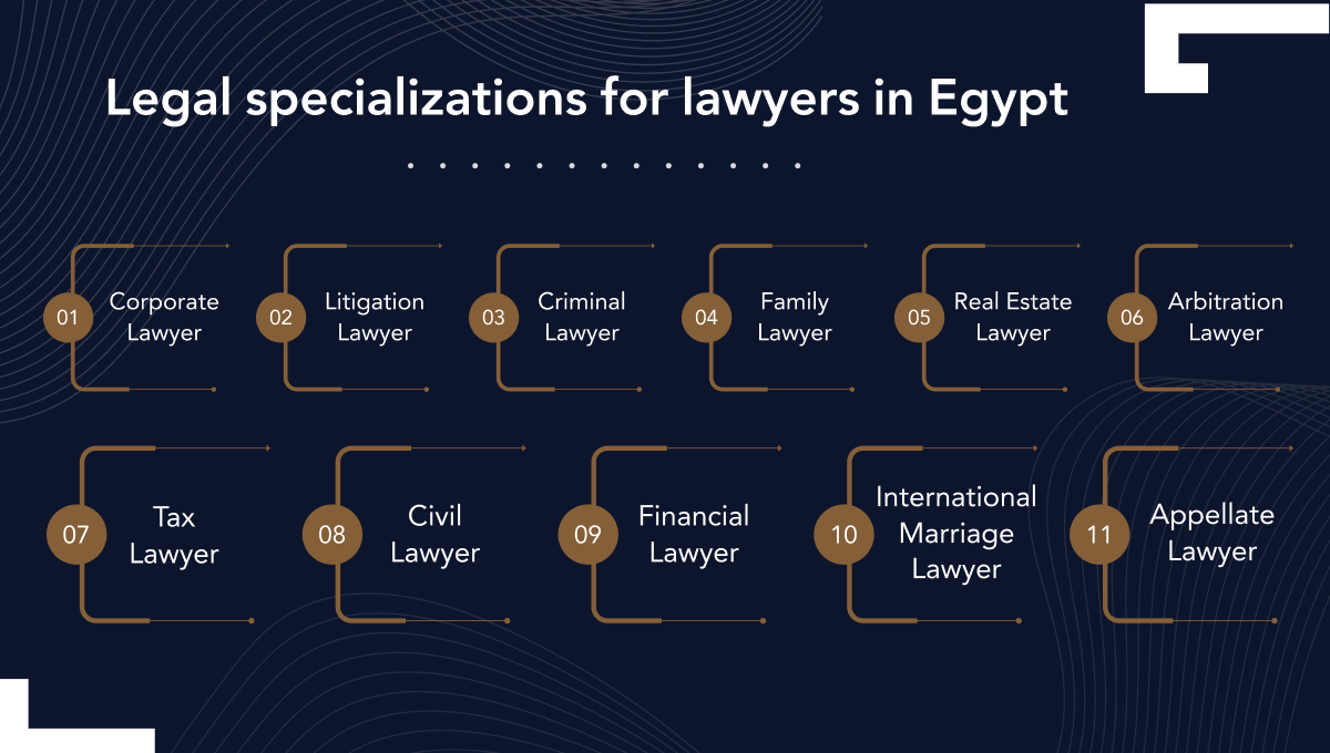 types of lawyers in Egypt