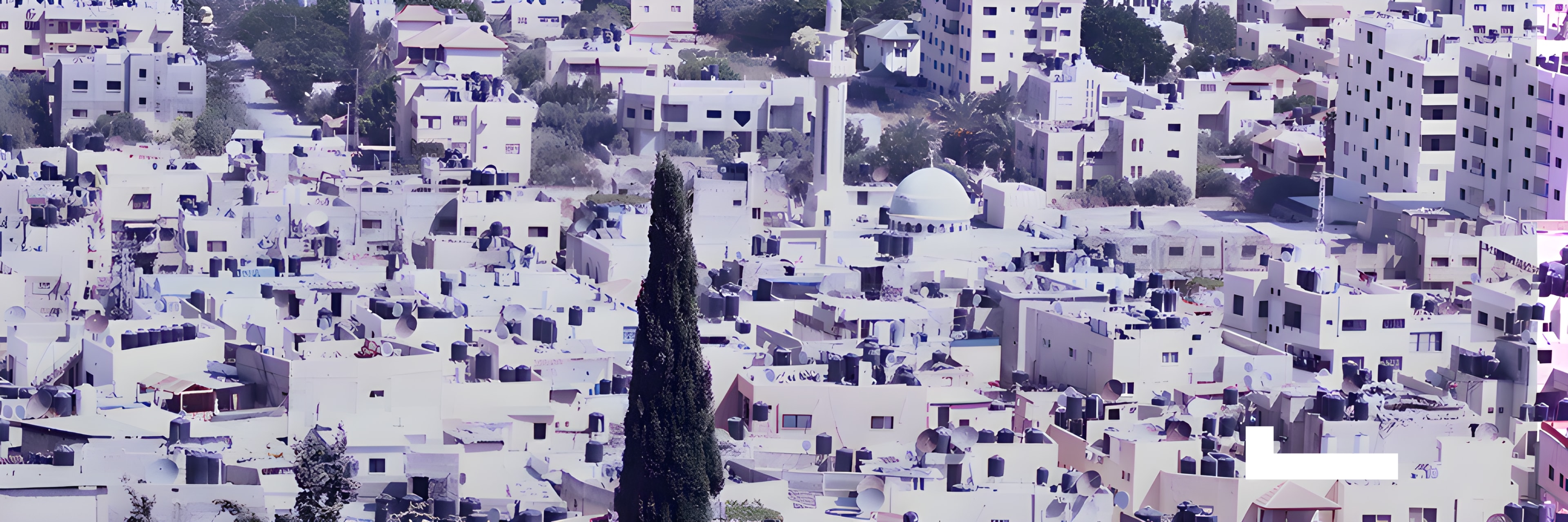 شركة محاماة دولية في جنين