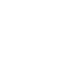 Expert Legal Support