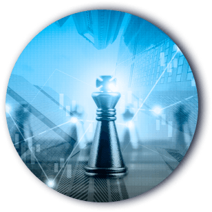 Litigation Services